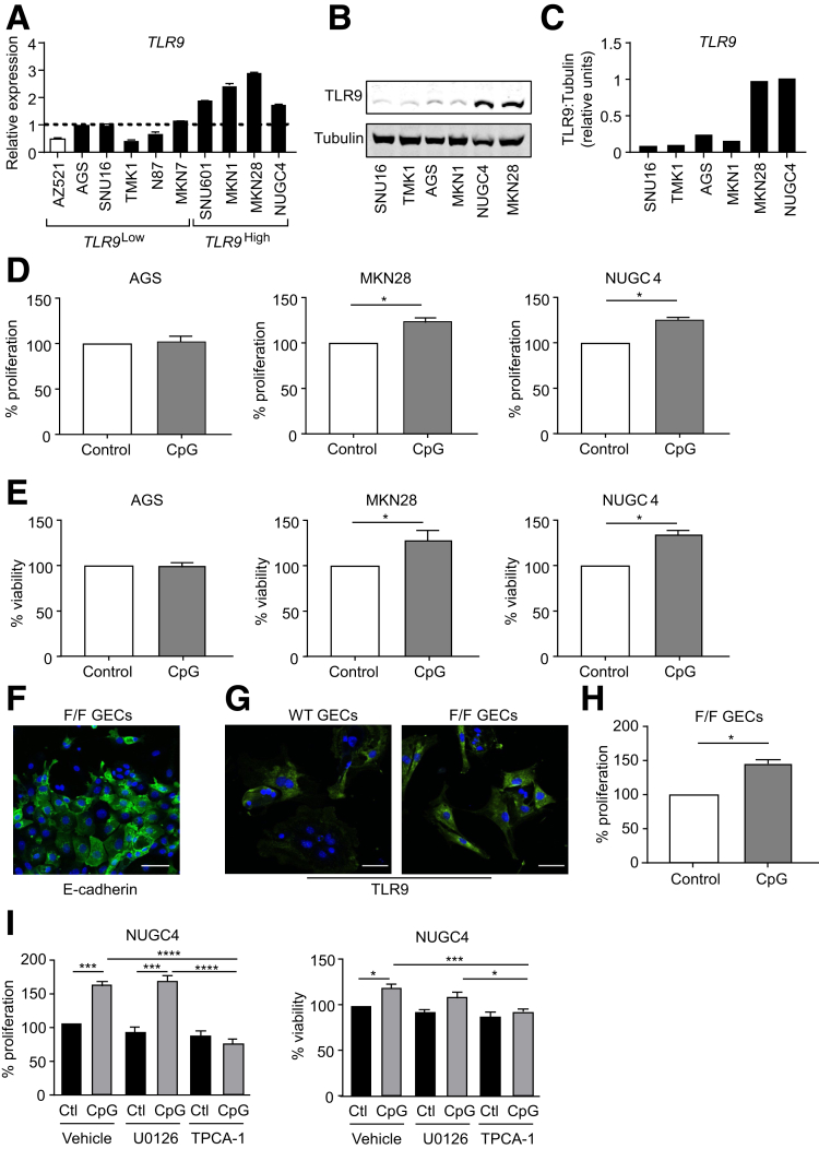 Figure 6