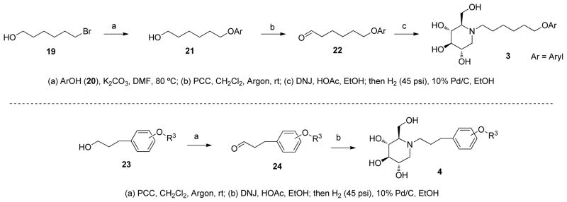 Scheme 4