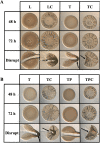 FIG 1