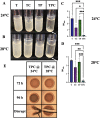 FIG 4