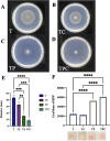 FIG 8