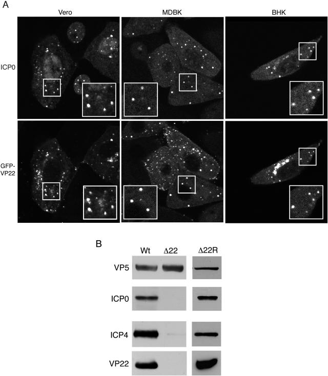 FIG. 7.