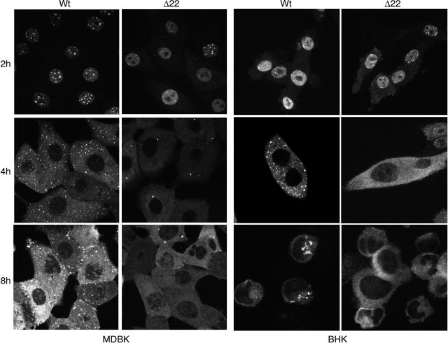 FIG. 6.