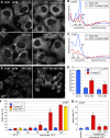 FIGURE 10: