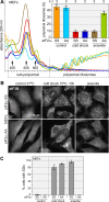 FIGURE 6: