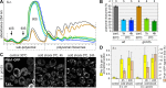 FIGURE 7: