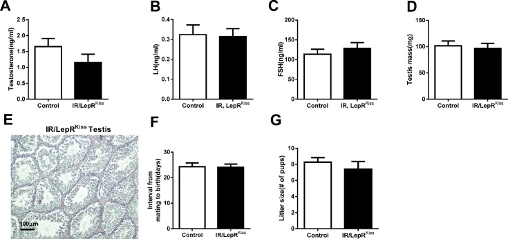 Fig 8