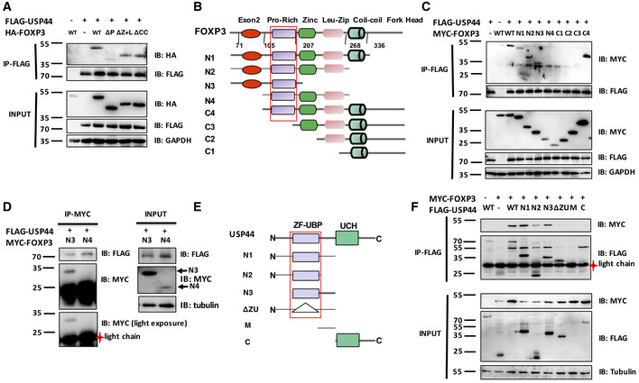 Figure EV3