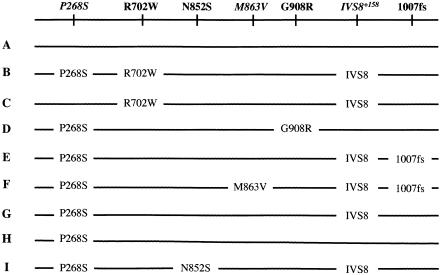 Figure  1