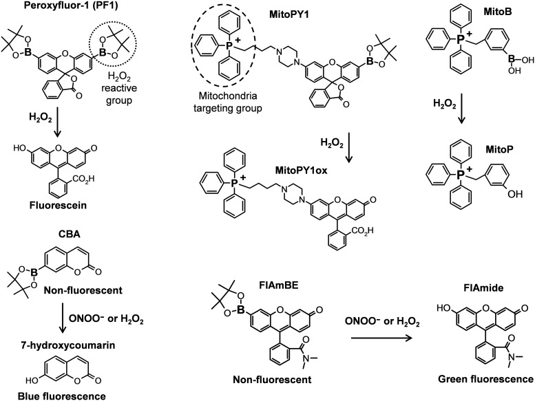 FIG. 6.