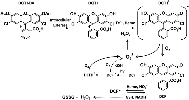 FIG. 1.