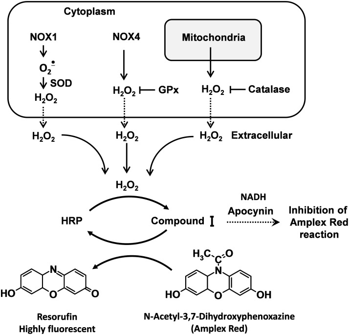 FIG. 2.