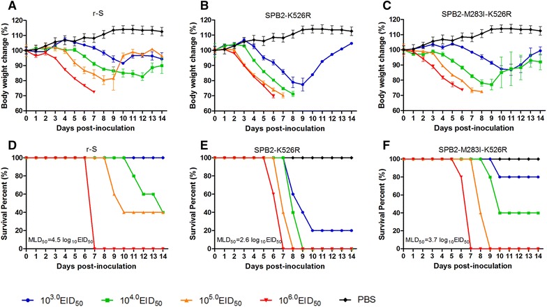 Figure 6