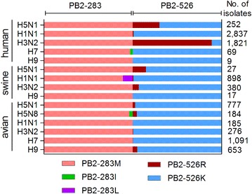 Figure 5