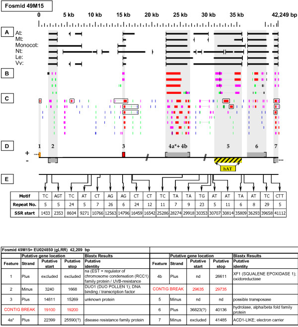 Figure 21