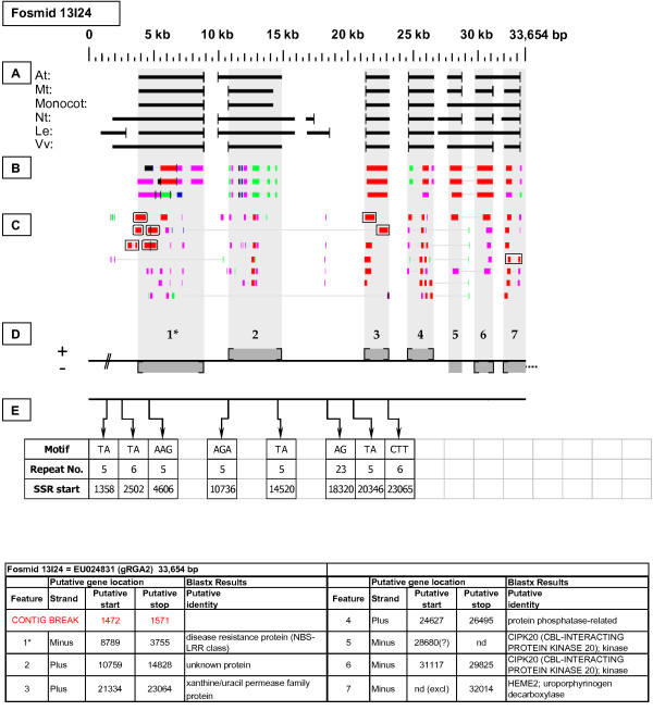 Figure 19