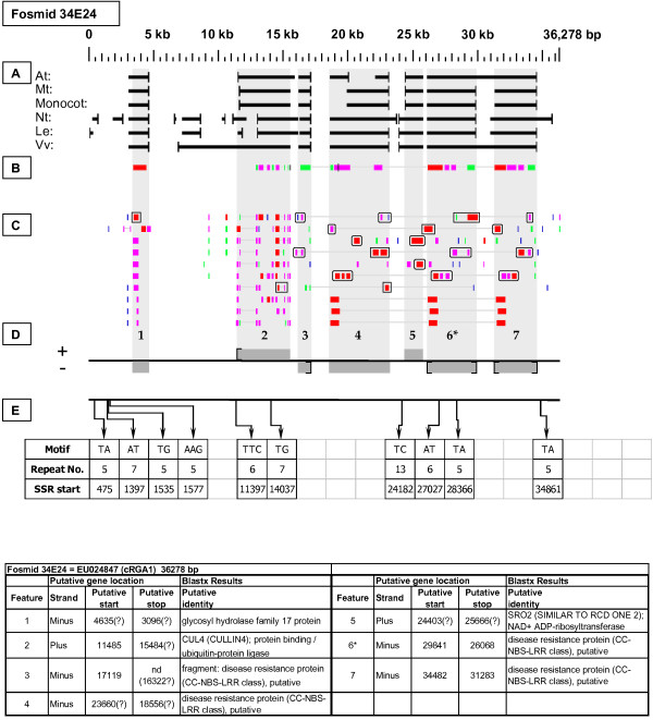 Figure 17