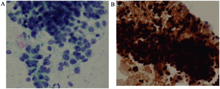 Figure 3.