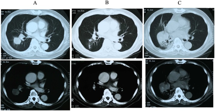 Figure 1.