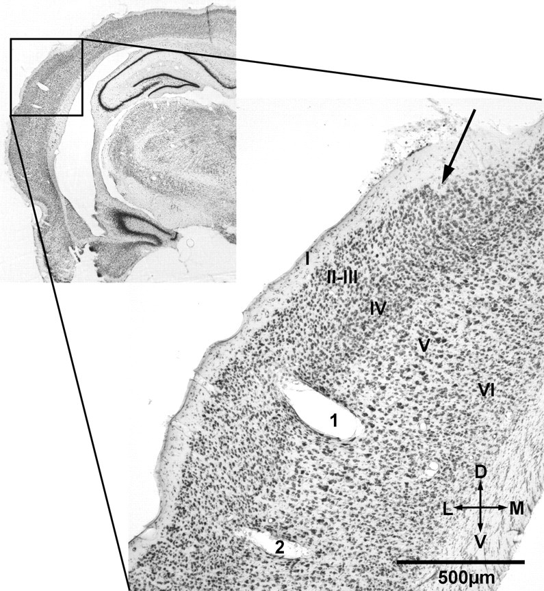 Figure 10.