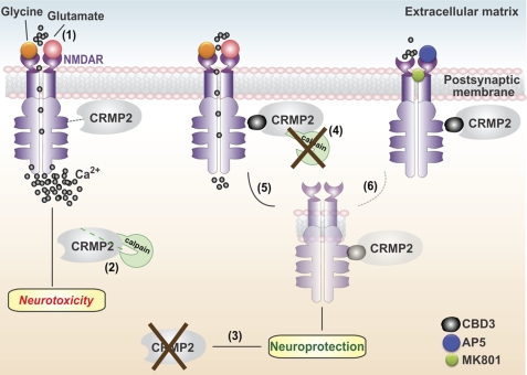 FIGURE 12.