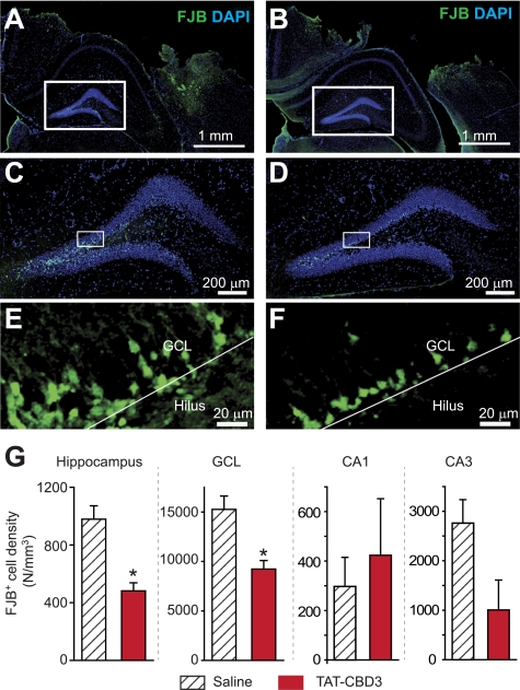 FIGURE 11.