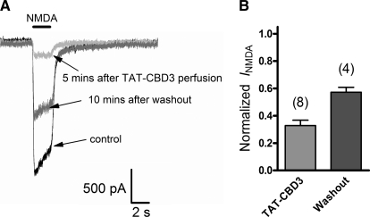 FIGURE 10.