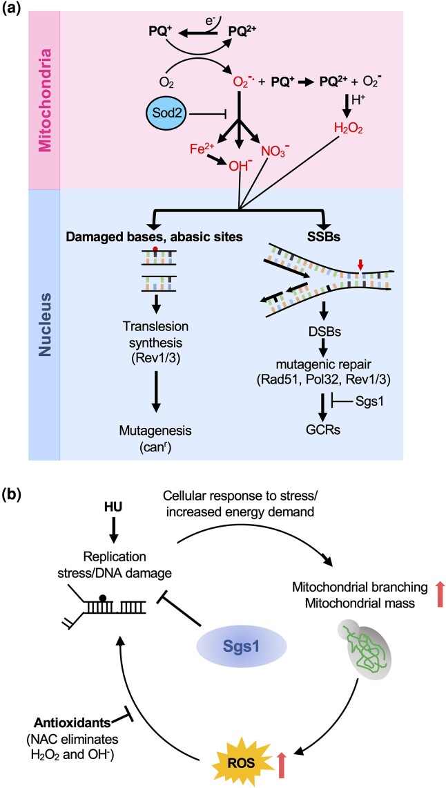 Fig. 6.