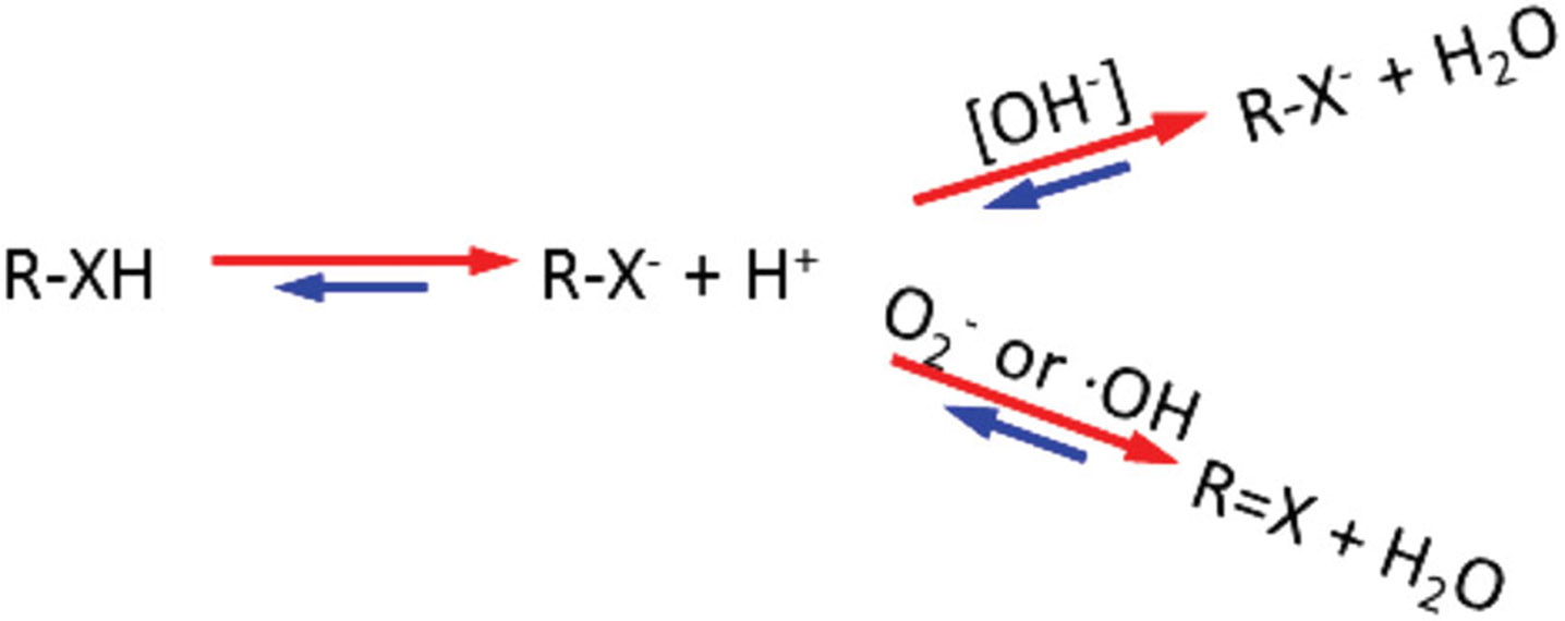 FIGURE 10: