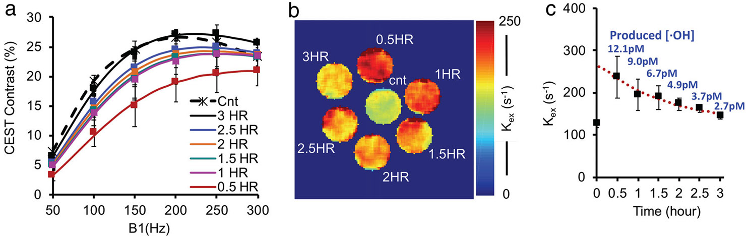 FIGURE 5: