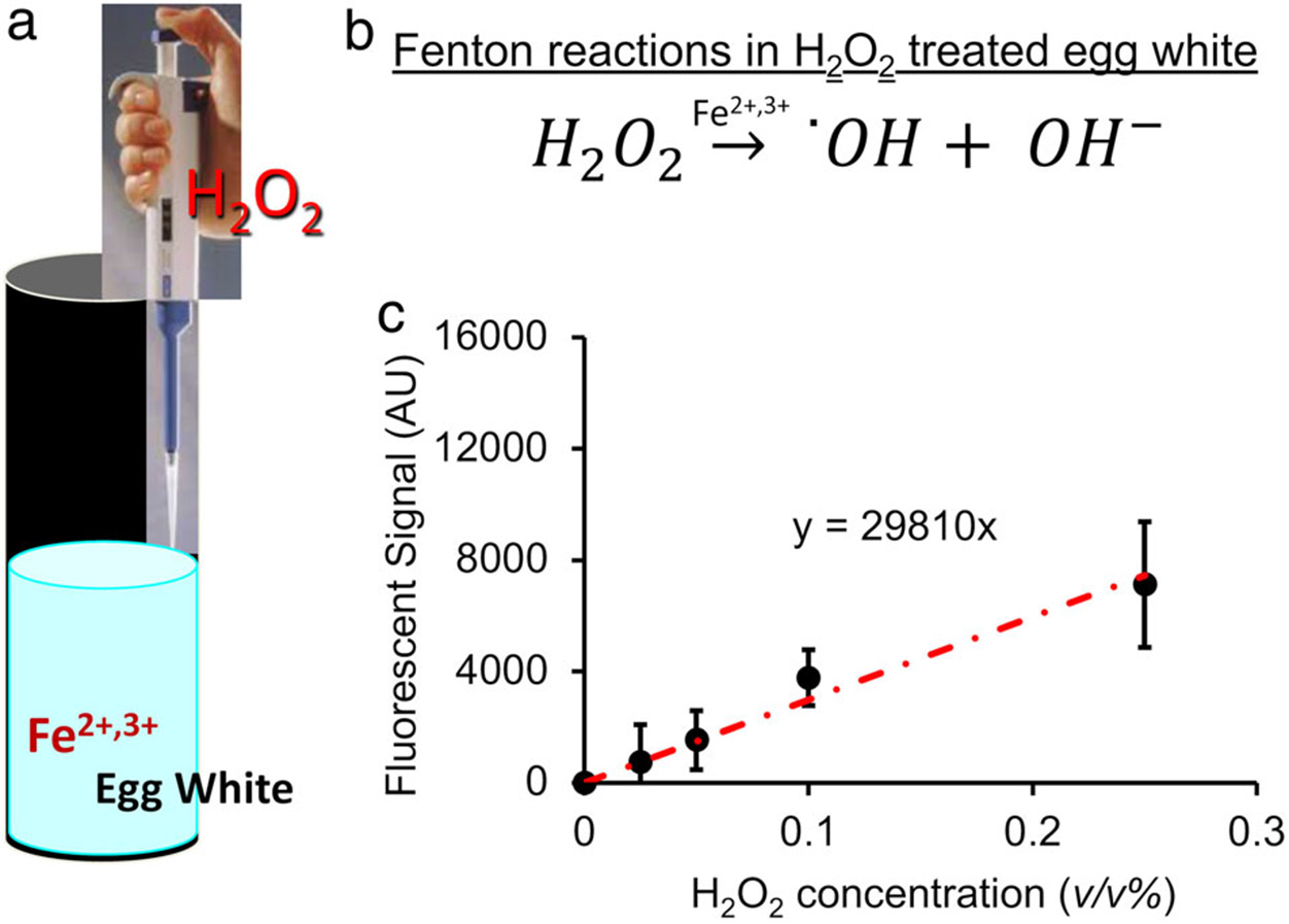 FIGURE 2: