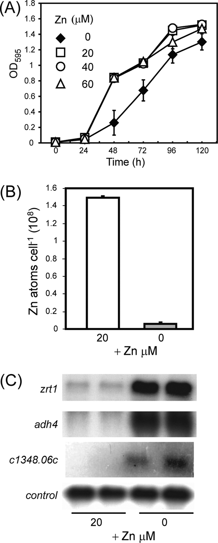 FIG. 3.