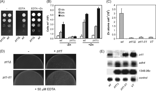 FIG. 6.