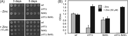 FIG. 8.