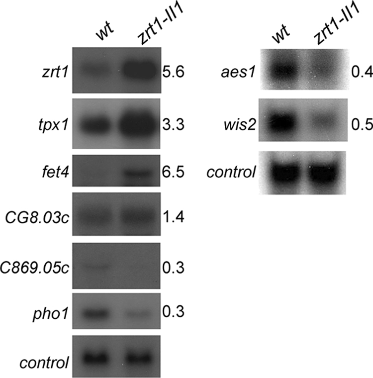 FIG. 7.