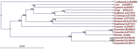 Fig. 2: