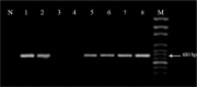 Fig. 1: