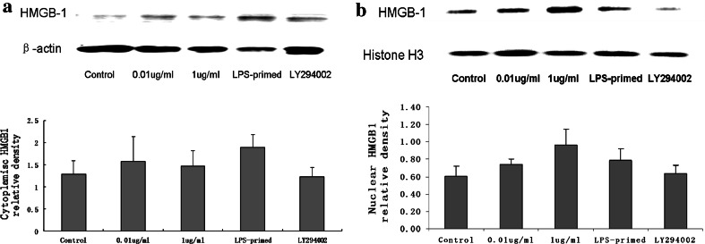 Fig. 7