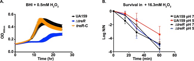 FIG 2