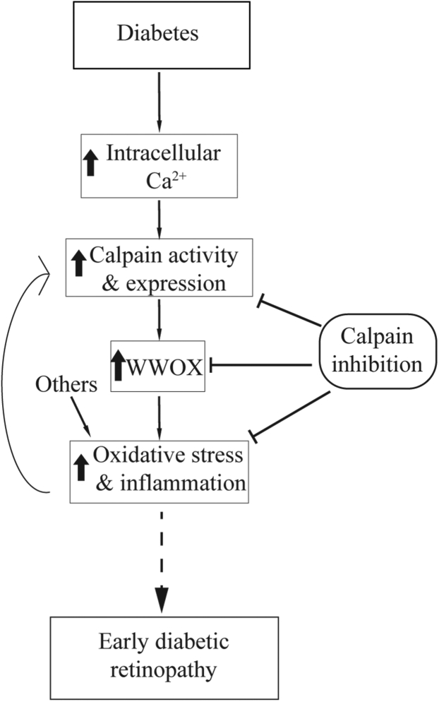 Figure 10