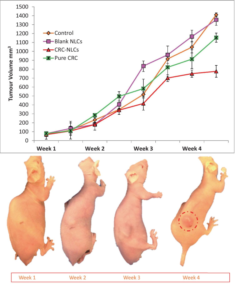 Fig. 10