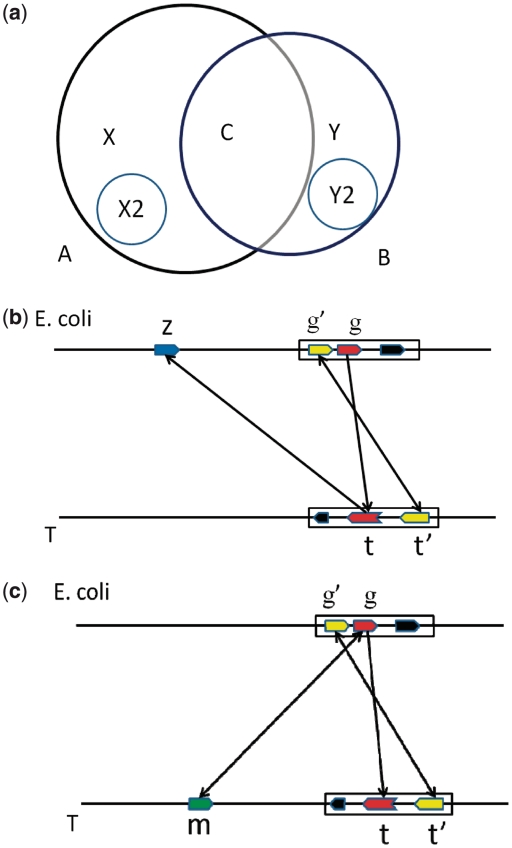 Figure 3.