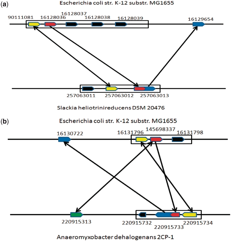 Figure 4.