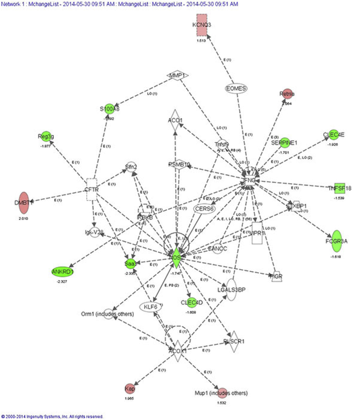 Supplemental Figure S1