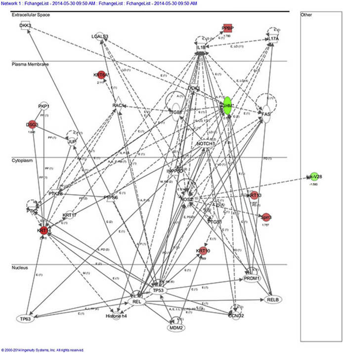 Supplemental Figure S3