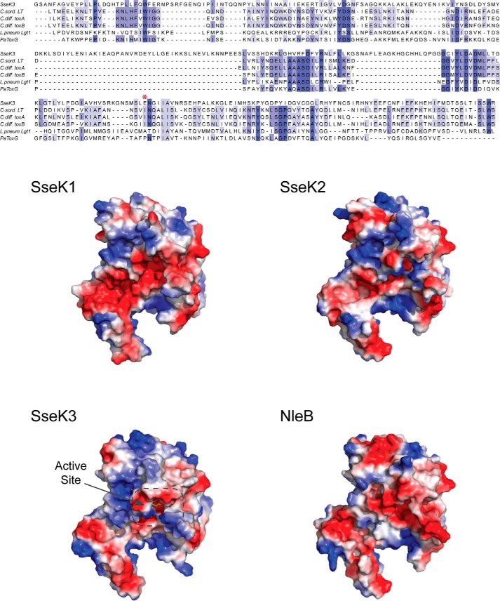 Figure 6.