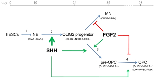 Fig. 7.