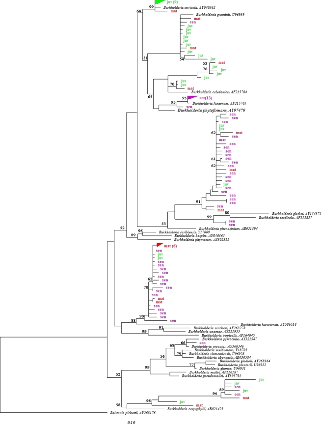 Fig. 2.