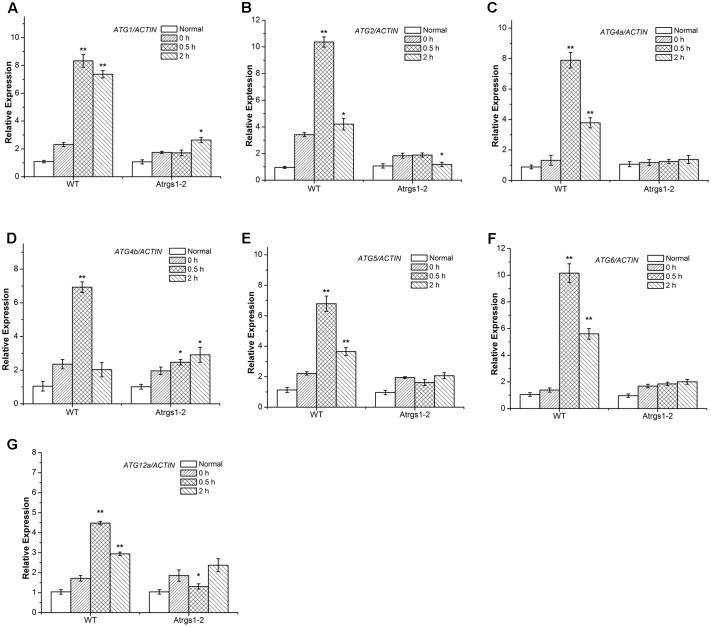 FIGURE 3