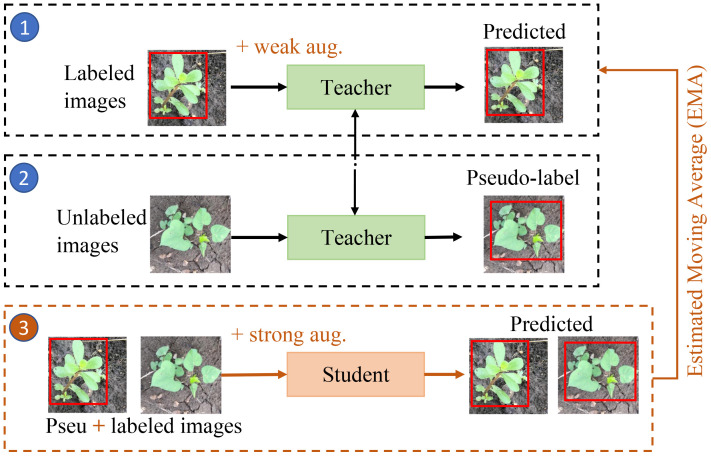 Figure 3